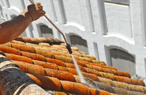 Nettoyage de toitures - Sassenage